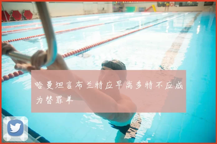 哈曼坦言布兰特应早离多特不应成为替罪羊