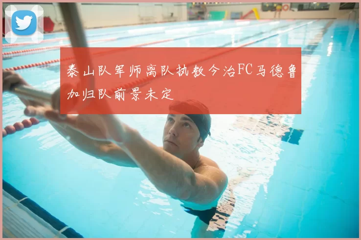 泰山队军师离队执教今治FC马德鲁加归队前景未定