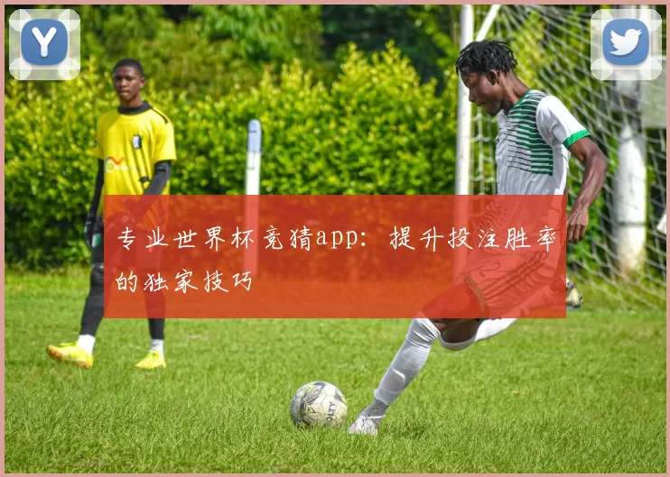 专业世界杯竞猜app：提升投注胜率的独家技巧