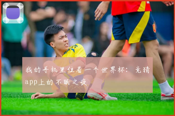 我的手机里住着一个世界杯:竞猜app上的不眠之夜