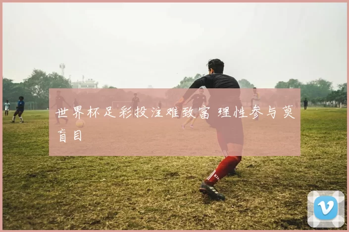 世界杯足彩投注难致富 理性参与莫盲目