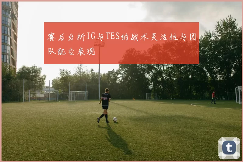 赛后分析IG与TES的战术灵活性与团队配合表现