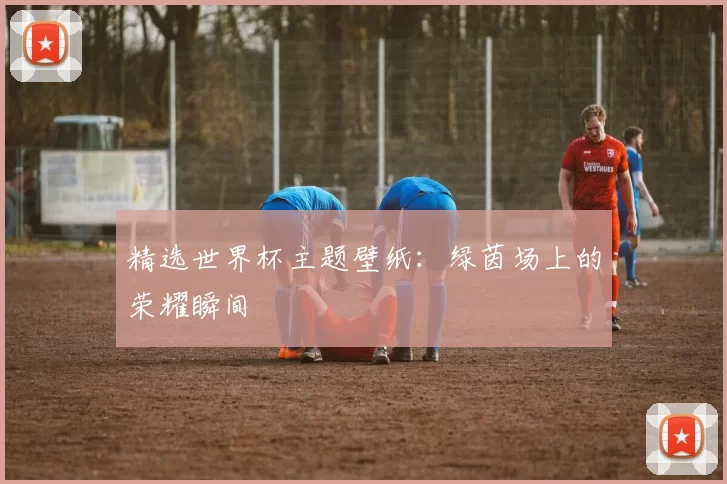 精选世界杯主题壁纸：绿茵场上的荣耀瞬间