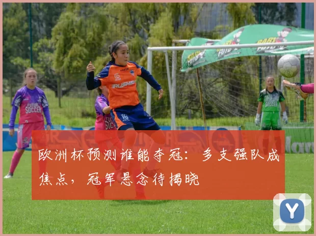 欧洲杯预测谁能夺冠:多支强队成焦点,冠军悬念待揭晓