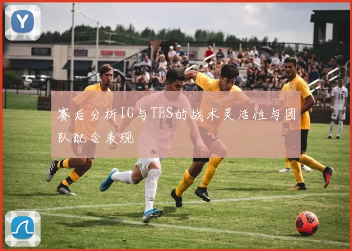 赛后分析IG与TES的战术灵活性与团队配合表现