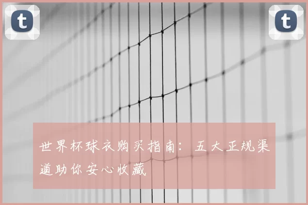世界杯球衣购买指南：五大正规渠道助你安心收藏