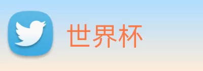 世界杯 logo